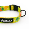 Verstellbares Halsband Lemonade Psiakrew, 2cm breit, schwarze Beschläge