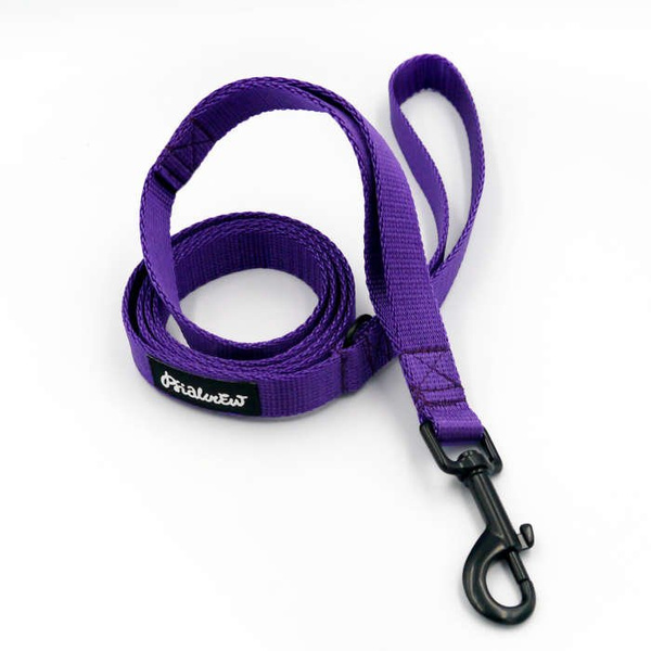 Purple Dog Leash width 2 cm 0.78 ", black extras