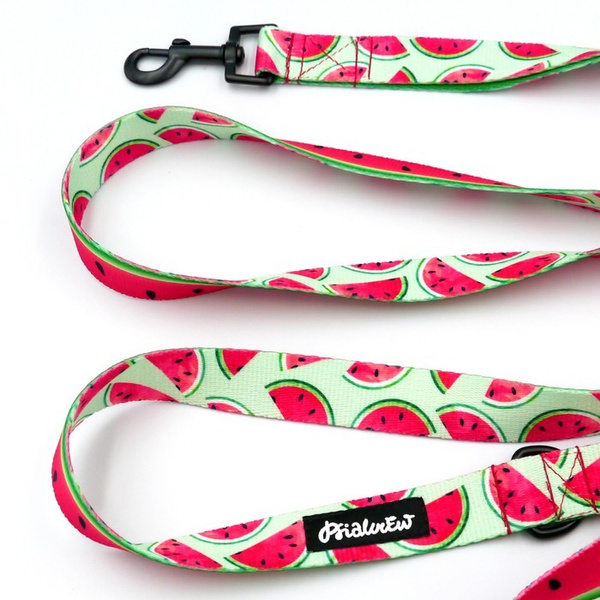 Smycz spacerowa miejska dla Psa Watermelon Psiakrew, szerokość 2,5 cm, czarny karabińczyk 6cm