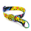 Half-choke collar Terrazzo, 2.5 cm wide, medium and big dogs, HOLO extras