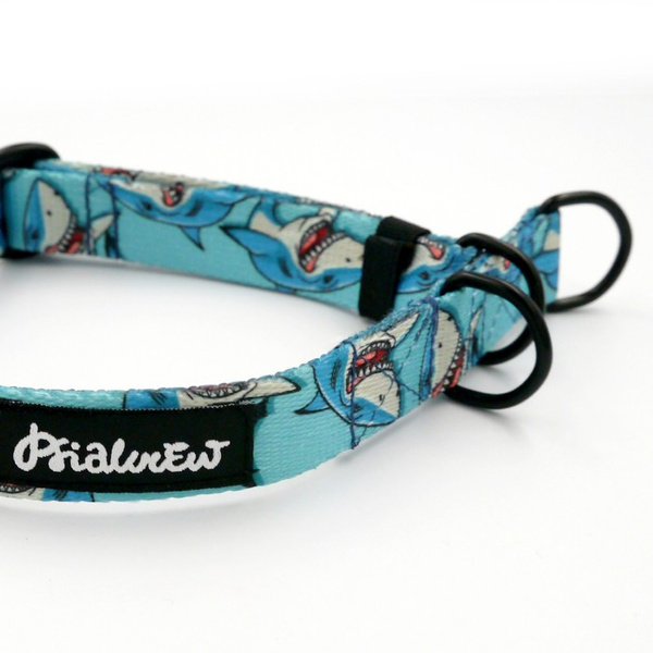 Half-choke collar Shark, 2 cm wide, for small dogs, black extras