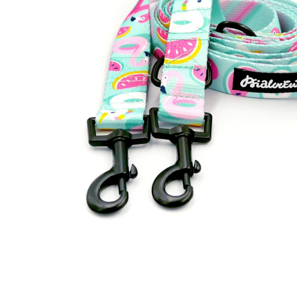 Dog Leash Azure Pool width 2.5 cm, 1"  wide, snap hook black 6cm