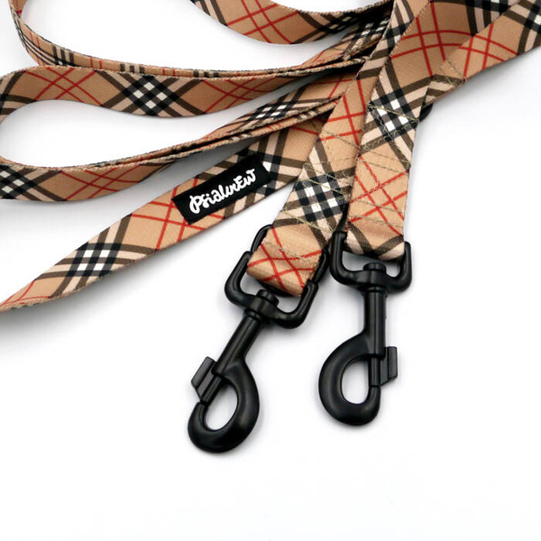 Dog Leash Dogberry Psiakrew snap hook black 8cm