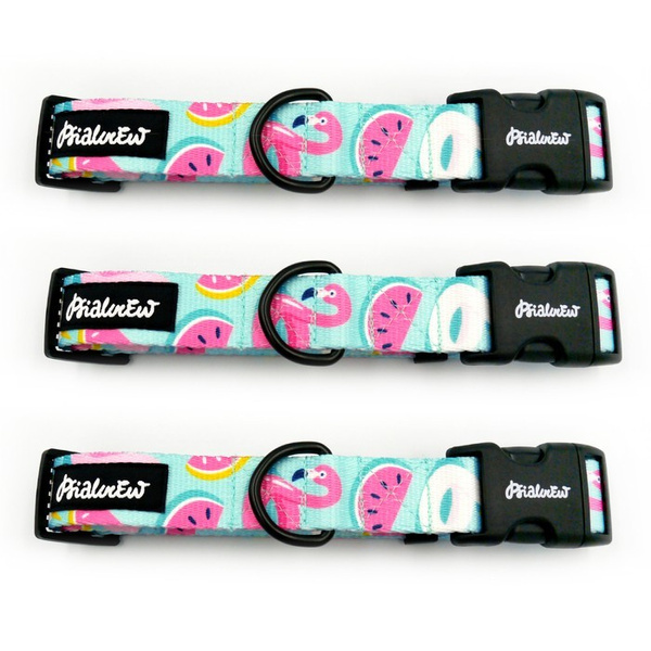 Dog Collar Azure Pool Psiakrew 2.5 cm 1"  wide, black fittings