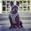 Dog Harness, Always Feeling Cool, Super Soft Psiakrew Checker