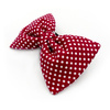 Burgundy Dog Bow Tie with white polka dots, elegant classic Psiakrew bow
