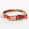 Dog Collar Psiakrew Tutti Frutti, 2 cm 0.78"  wide, for smaller dogs, pink gold clip