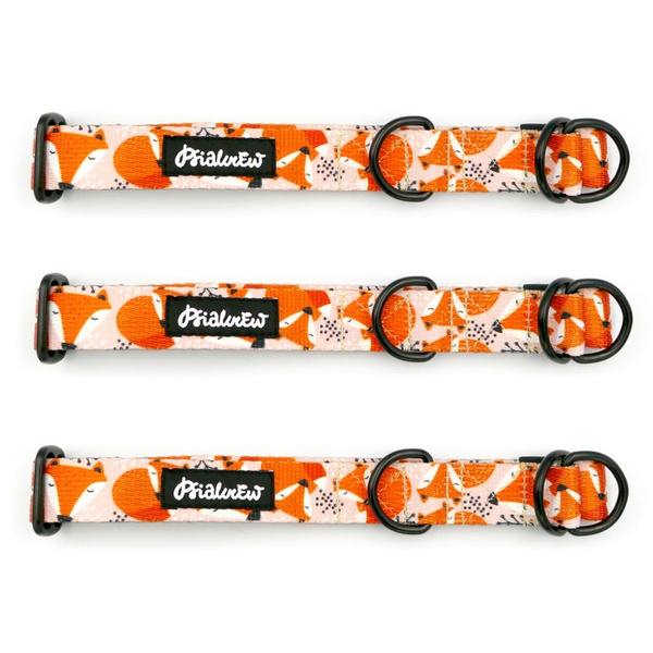 Half-choke collar Foxy Lady, 2.5 cm wide, medium and big dogs, black extras