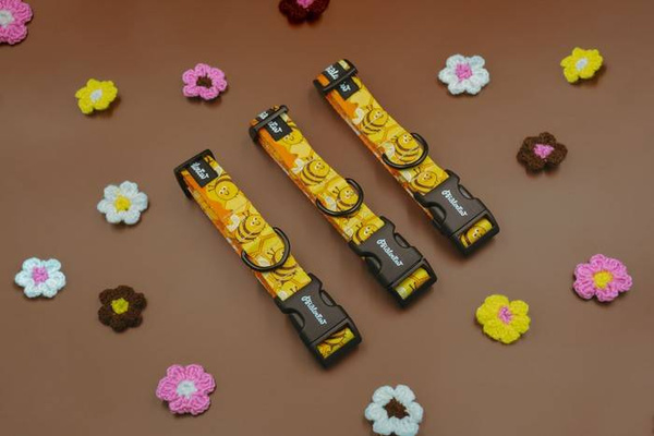 Verstellbares Hundehalsband Fleißige Bienen Psiakrew, Breite 2 cm, kleiner Hund, schwarze Beschläge