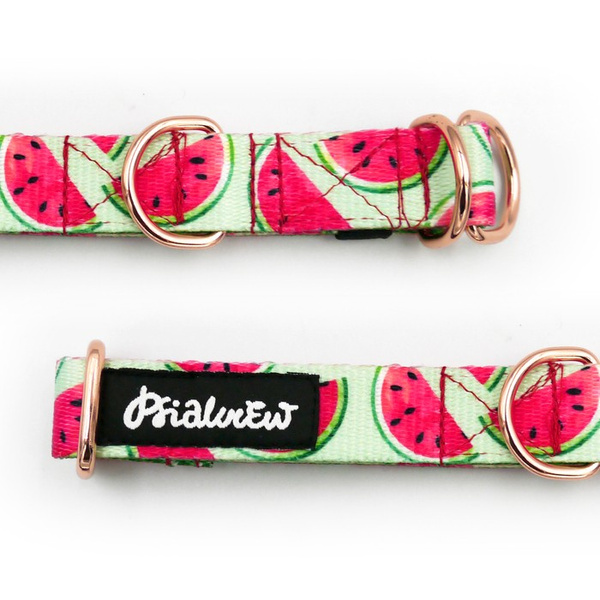 Half-choke collar Watermelon, 2 cm wide, for small dogs, golden extras