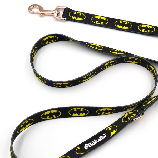 Walking leash for Dog BatDog Psiakrew, width 2 cm, golden snap hook 6 cm