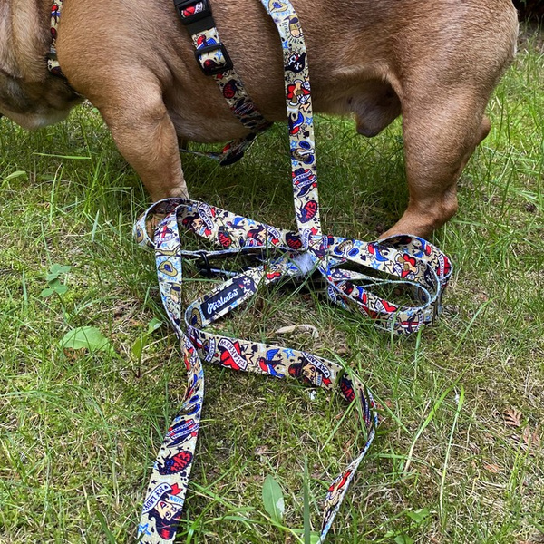 Długa smycz dla psa przepinana Dog Tattoo Psiakrew, taśma 2,5 cm, karabińczyk 8 cm czarny