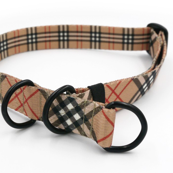 Halb-Klemmhalsband Dogberry Psiakrew, 2,5 cm breit, für mittelgroße und größere Hunde, Schwarz-Beschläge