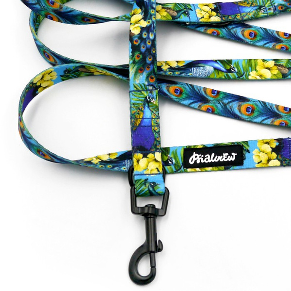 Hundeleine Peacock's Eye Psiakrew Breite 2 cm, schwarzer Karabinerhaken 6 cm