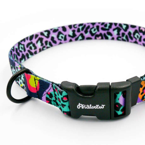 Dog Collar Psiakrew Crazy Leopard 2.5 cm wide, black extras
