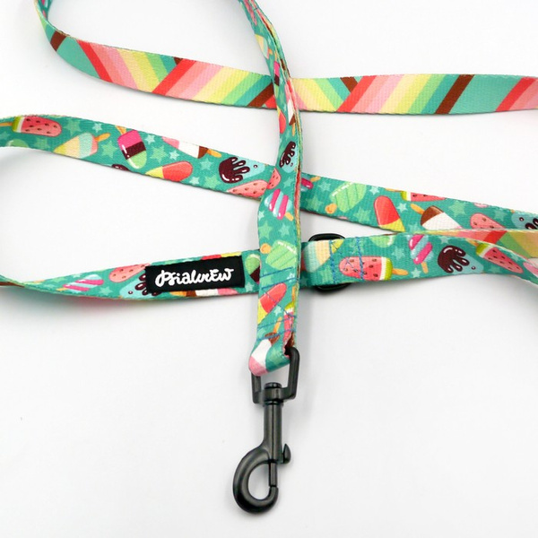 Walking leash for Dog Ice Ice Baby Psiakrew, width 2 cm, black snap hook 6 cm