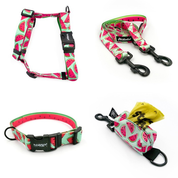 ZUBEHÖRSATZ. Großer Hund. Watermelon Psiakrew-Serie; Halsband, Geschirr, Leine, Etui für Kotbeutel