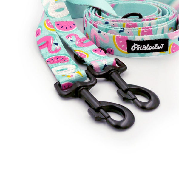 Dog Leash Azure Pool width 2.5 cm, 1" wide, snap hook black 8cm