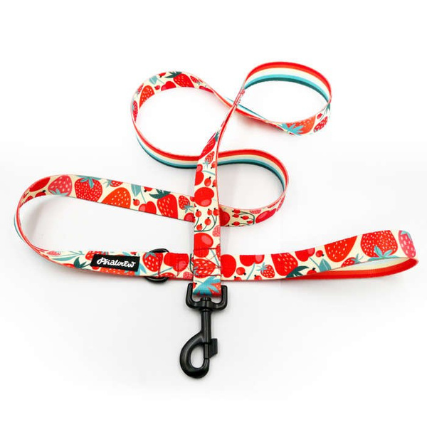 Dog Leash Fruit Jelly width 2.5 cm, 1" wide, snap hook glossy nickel 7cm