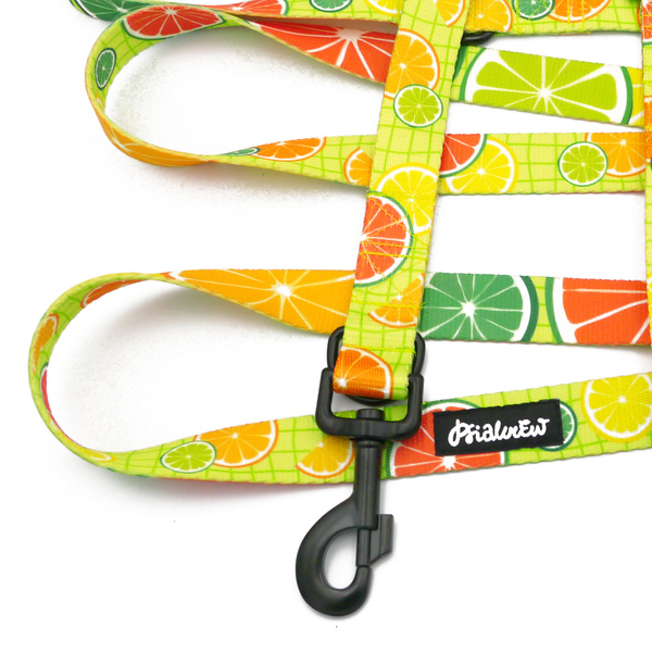 Long Adjustable Dog Leash Lemonade Psiakrew, width 2.5 cm, black snap hook 8 cm