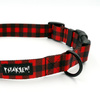 Dog Collar Psiakrew Lumberjack 2.5 cm, 1"  wide, black extras