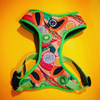 Dog Harness Tutti Frutti, Always Feeling Cool, Super Soft Psiakrew, fruity pattern 