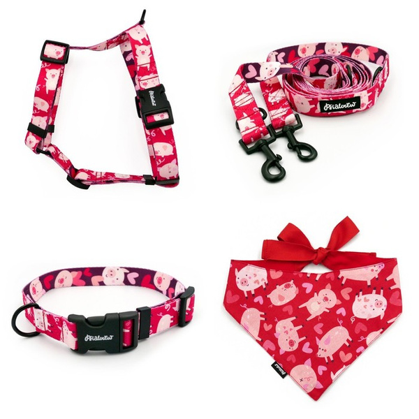 ZUBEHÖRSATZ. Mittlerer Hund. Psiakrew Piggy in Love Serie; Halsband, Geschirr, Leine, Bandana