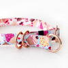 Half-choke collar Hot Sweetness, 2.5 cm wide, medium and big dogs, rose gold