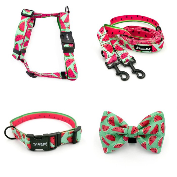 ACCESSORY KIT. Medium dog. Watermelon Psiakrew Series; Collar, Harness, Leash, Bow tie