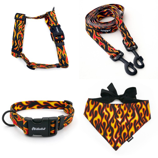 ZUBEHÖRSATZ. Großer Hund. Dog on Fire Psiakrew - Serie; Halsband, Geschirr, Leine, Bandana