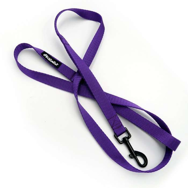 Purple Dog Leash width 2 cm 0.78 ", black extras