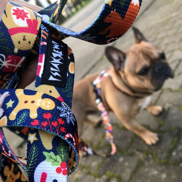 Long Dog Leash Winter is coming width 2.5 cm, 1"  wide, snap hook black 8 cm