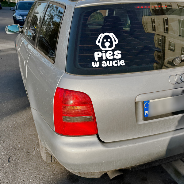 Pies w aucie Psiakrew Bumper Rear Window Vehicle Car Sticker