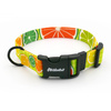 Adjustable Dog Collar with Snap Buckle Lemonade Psiakrew 2.5 cm, Black Fittings
