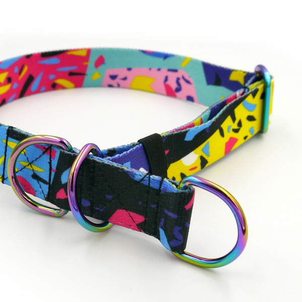 Half-choke collar Terrazzo, 3 cm wide, medium and big dogs, holo extras