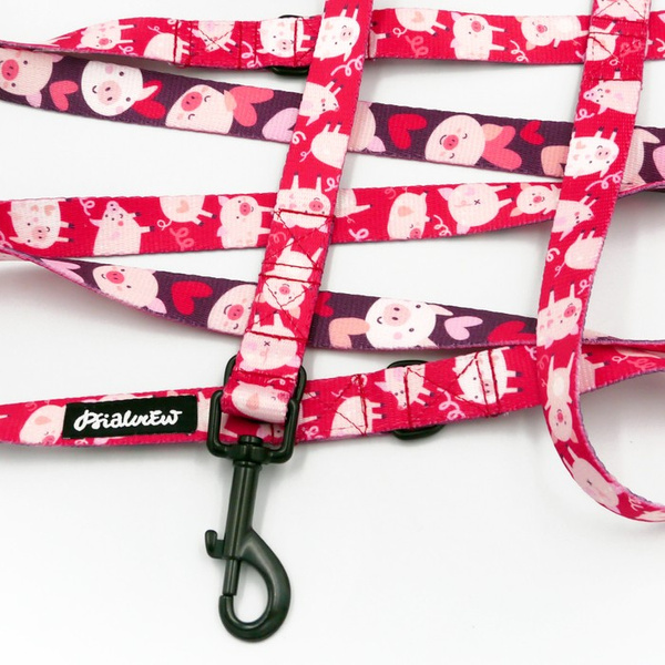 Hundeleine, lang, abnehmbar, verstellbar Piggy in Love Psiakrew, Breite 2 cm, Karabiner schwarz 7 cm