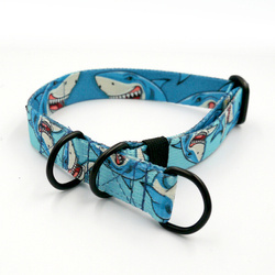 Obroża półzaciskowa Shark szeroka na 2 cm, dla małych psów, czarne dodatki