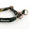Half-Choke-Halsband Zodiak, 2 cm breit, für kleine Hunde, goldene Accessoires