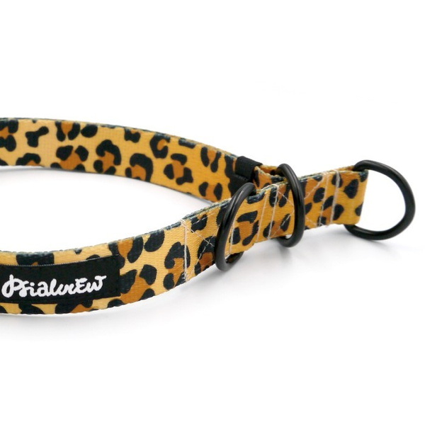 Half-choke collar Tarzan, 2.5 cm wide, medium and big dogs, black extras