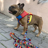Dog Harness Super Dog, colorful print, Always Feeling Cool, Super Soft Psiakrew
