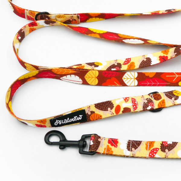 Smycz dla psa długa przepinana Jeż Marzyciel Psiakrew taśma 2 cm, czarny karabińczyk 6 cm