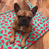 Premium Mat Plaid Blanket for the dog, Watermelon Psiakrew Design 