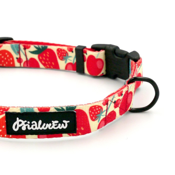 Dog Collar Fruit Jelly Psiakrew, 2 cm 0.78" wide, for smaller dogs