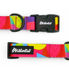 Dog Collar Kaleidoscope Psiakrew 2.5 cm 1" wide, black fittings