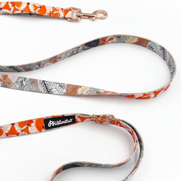 Walking leash for Dog Foxy Lady Psiakrew, width 2 cm, golden snap hook 6 cm