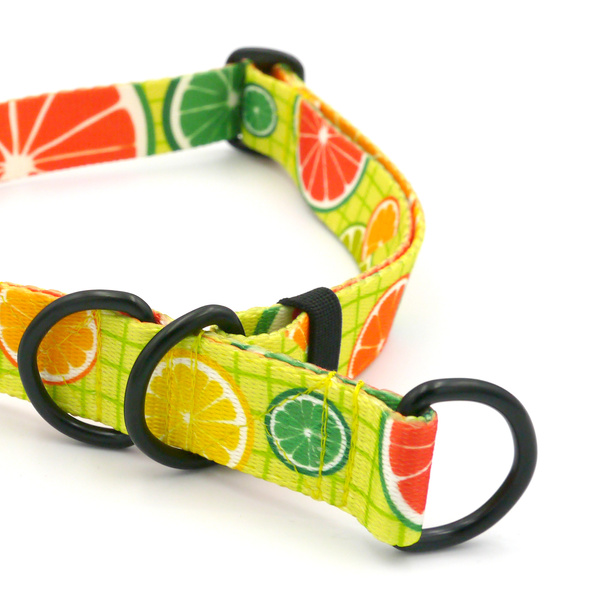 Half-choke collar Lemonade Psiakrew, 2.5 cm wide, medium and big dogs, black extras