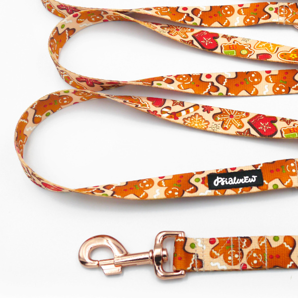 Lange verstellbare Hundeleine Zimt-Lebkuchen Psiakrew 2,5 cm, roségoldener 8-cm-Karabiner