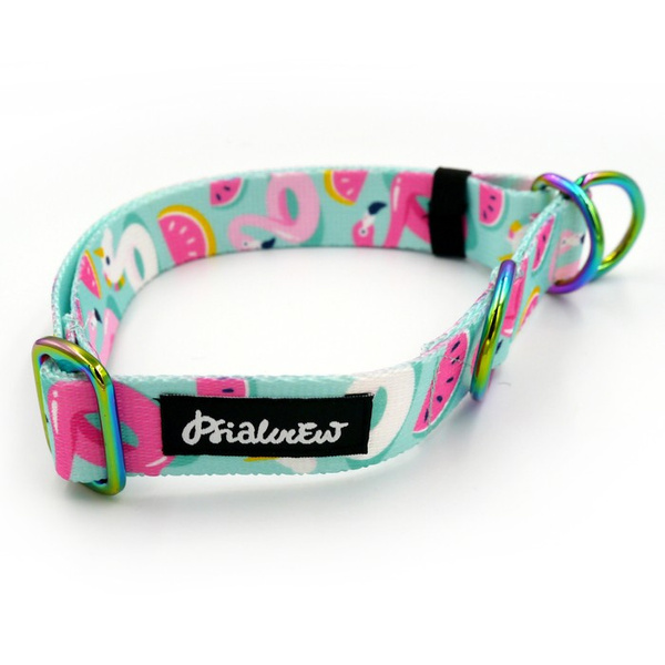 Half-choke collar Azure Pool, 2.5 cm wide, medium and big dogs, HOLO extras