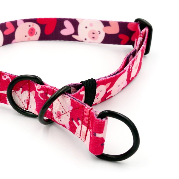 Halb-Klemmhalsband Piggy in Love Psiakrew, 2,5 cm breit, für mittelgroße und größere Hunde, Schwarz-Beschläge