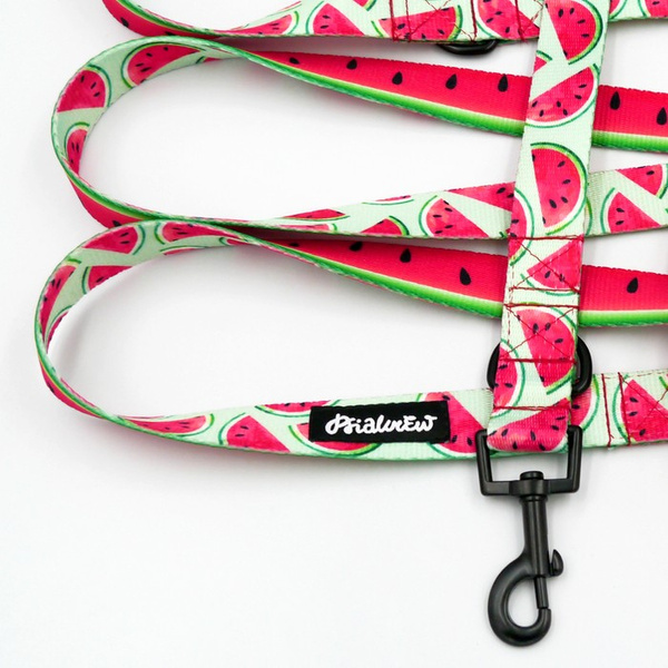 Dog Leash Watermelon width 2.5 cm, 1" wide, snap hook black 6cm